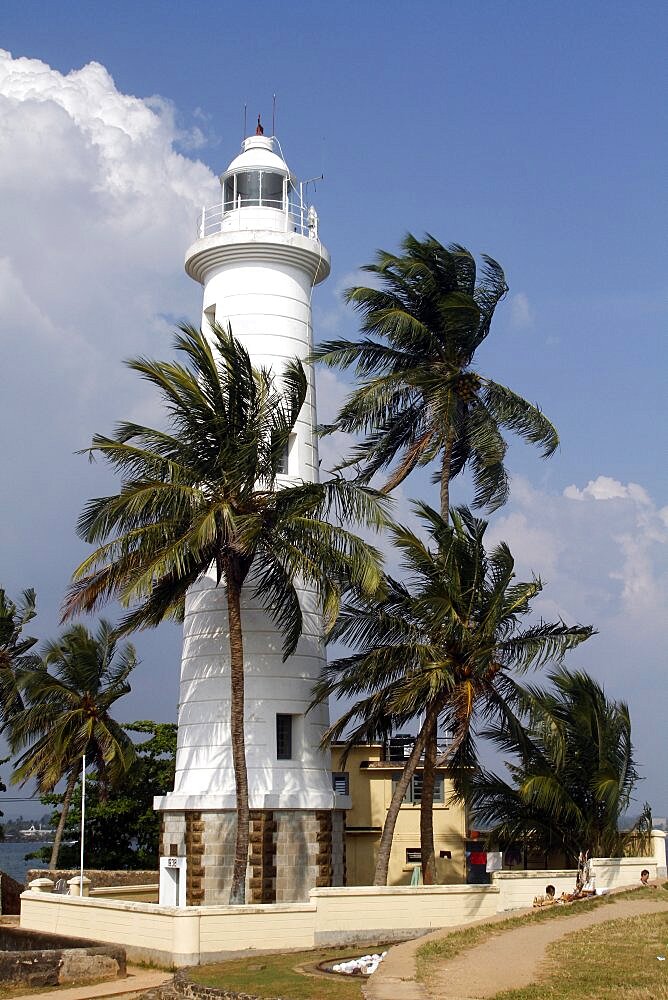 Lighthouse and coconut palm trees, Galle, Sri Lanka, Asia