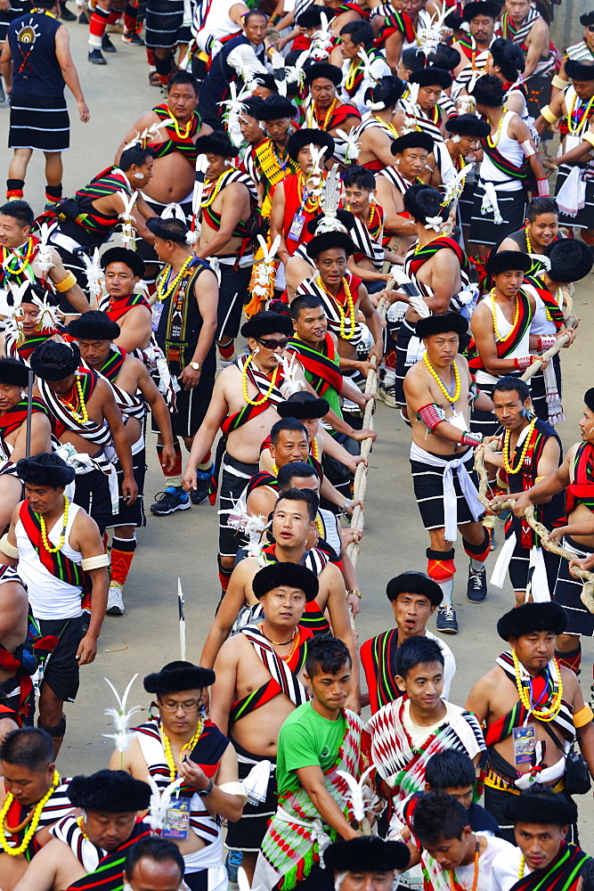 Naga tribesmen participating at the Stone pulling ceremony during Kisima Nagaland Hornbill festival, Kohima, Nagaland, India, Asia