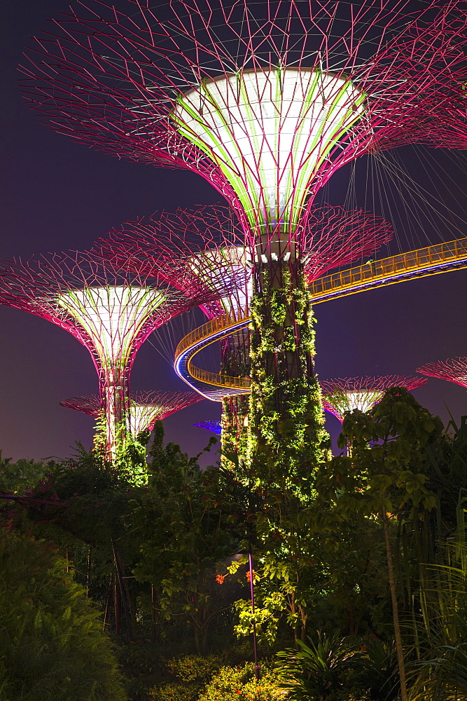 Gardens by the Bay at night, Singapore, Southeast Asia, Asia