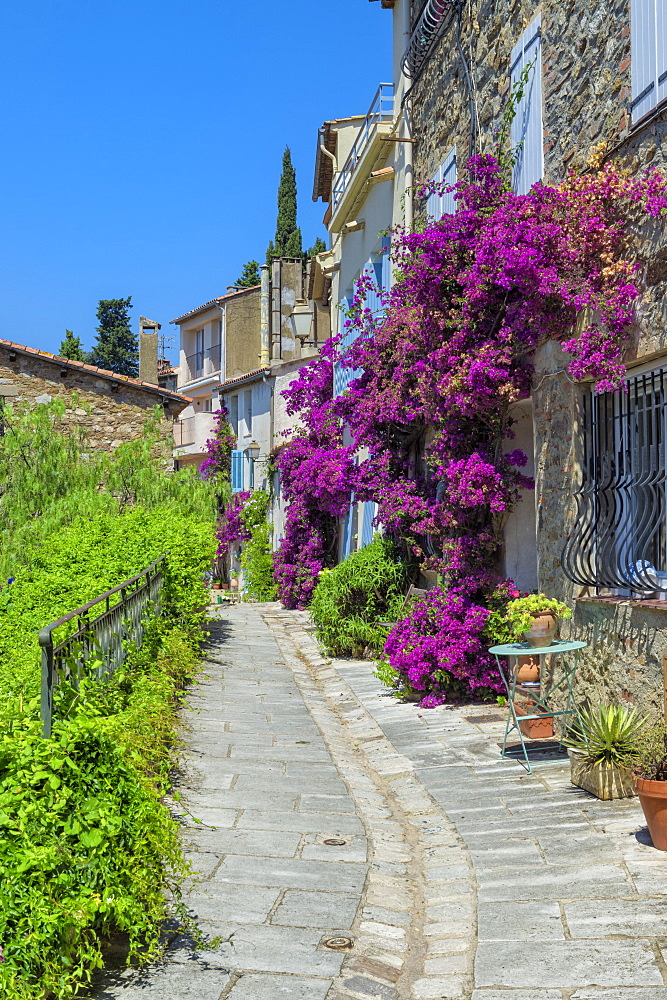 Narrow street, Grimaud Medieval village, Var, Provence Alpes Cote d'Azur region, France, Europe