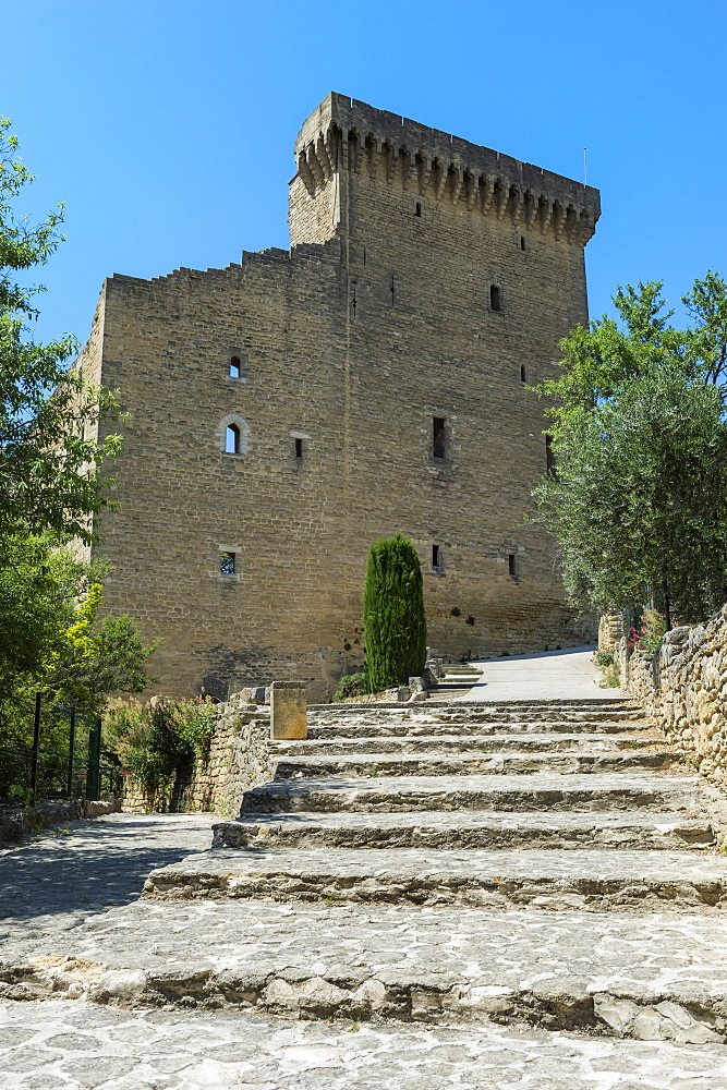 Chateuneuf du Pape, Castle, Vaucluse, Provence Alpes Cote d'Azur region, France, Europe