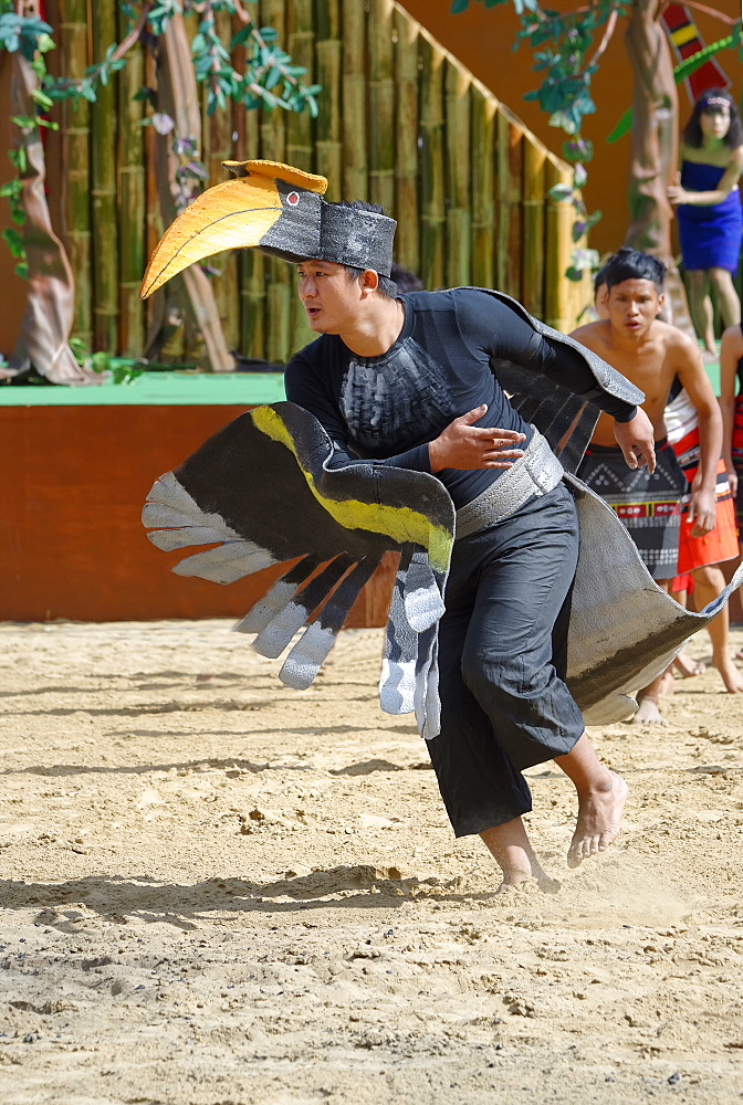 Tribal ritual dances at the Hornbill Festival, Kohima, Nagaland, India, Asia