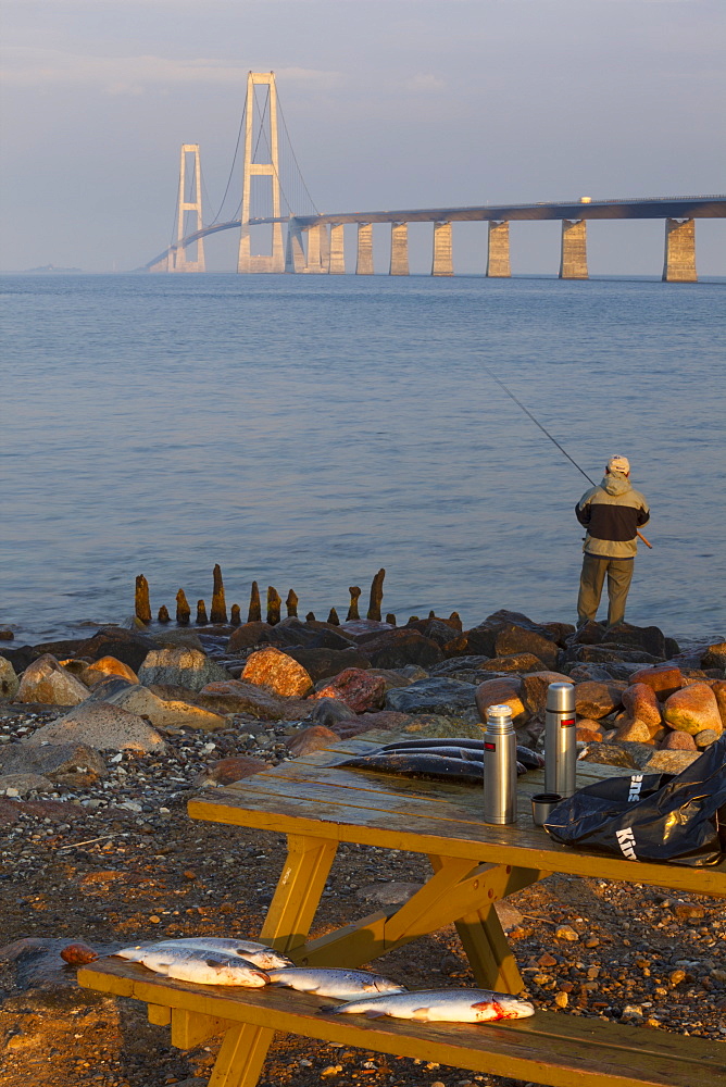 Nyborg-Korsor Bridge, Korsor, Southern Denmark, Denmark, Scandinavia, Europe