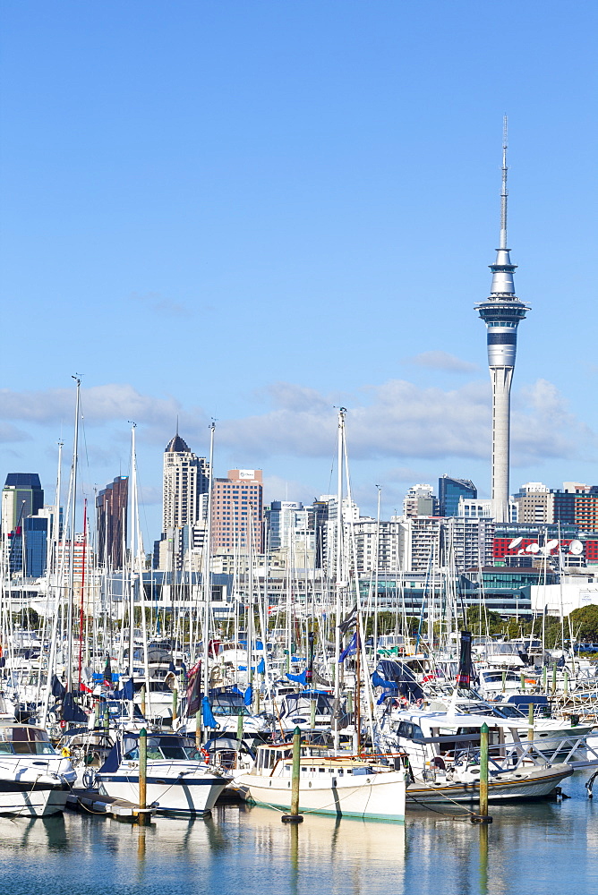 Westhaven Marina and city skyline, Waitemata Harbour, Auckland, North Island, New Zealand, Pacific