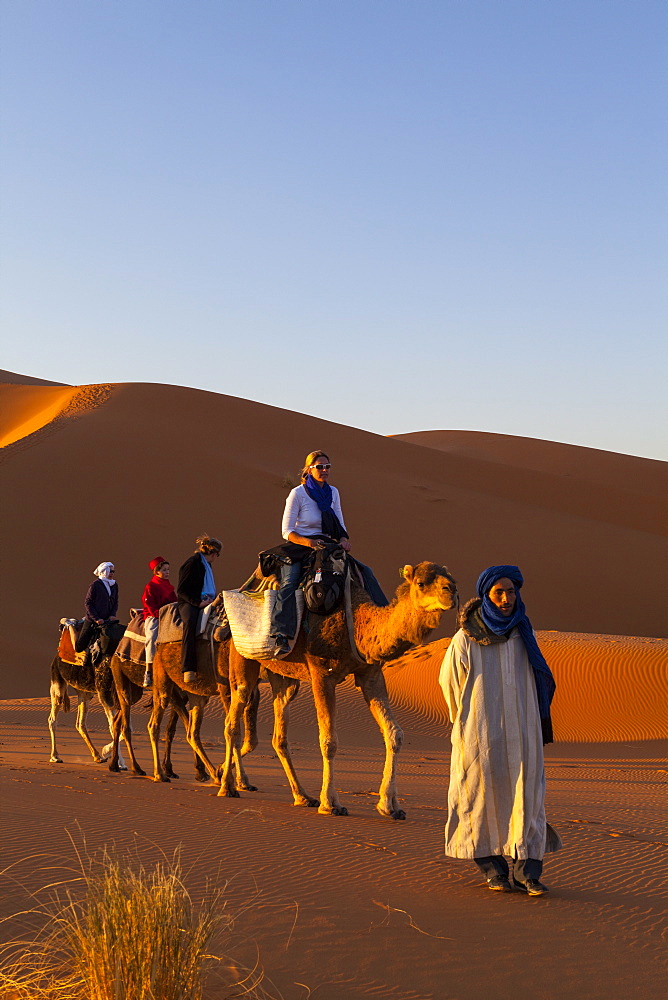 Tourists on camel safari, Sahara Desert, Merzouga, Morocco, North Africa, Africa 