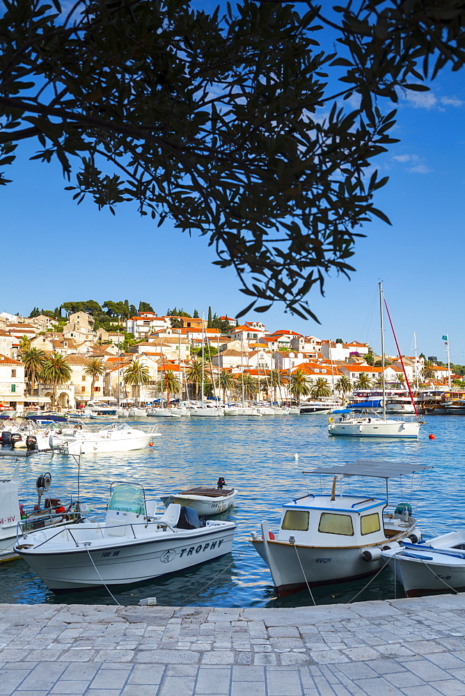 Hvar's picturesque harbour, Stari Grad (Old Town), Hvar, Dalmatia, Croatia, Europe