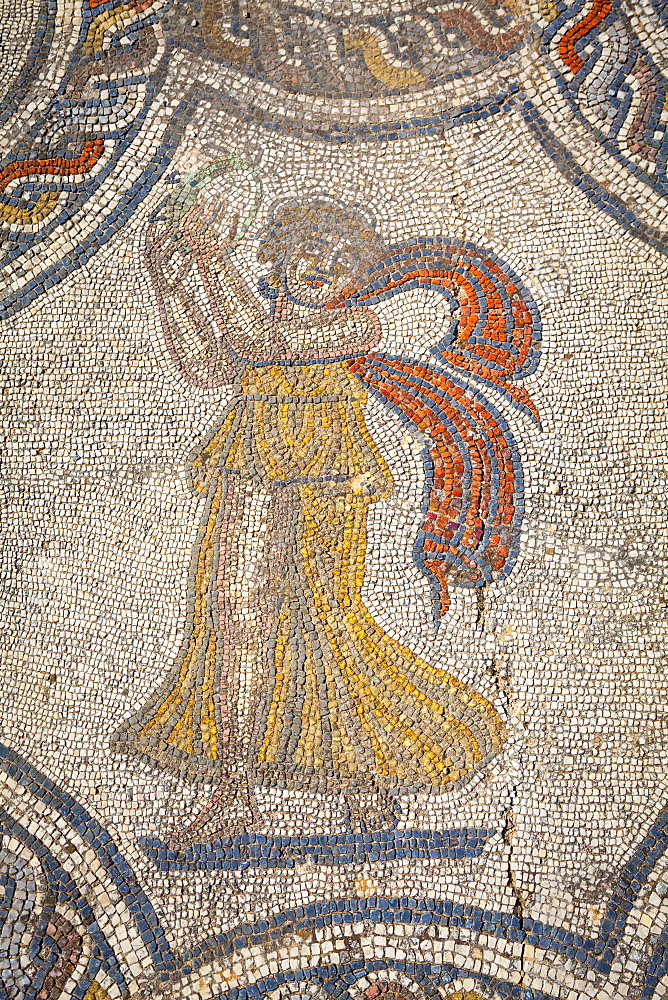 Mosaic detail from the House of Dionysus, Volubilis, UNESCO World Heritage Site, Morocco, North Africa, Africa 