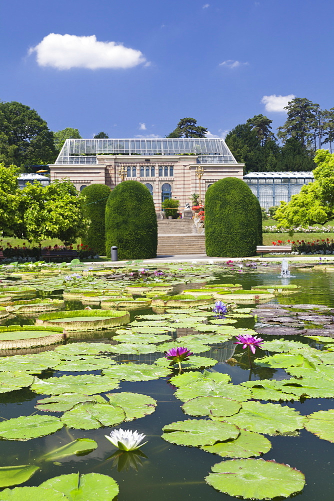 Moorish Garden with water lilies (genus Nymphaea),  Wilhelma, Zoo and Botanical Garden, Stuttgart, Baden Wurttemberg, Germany, Europe