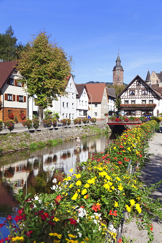 Oppenau, Black Forest, Baden Wurttemberg, Germany, Europe