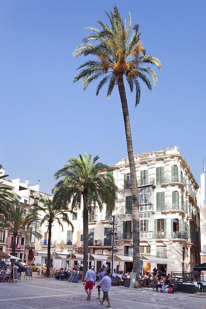 Restaurants and street cafes at der Placa de la Llotja, Palma de Mallorca, Majorca, Balearic Islands, Spain, Europe