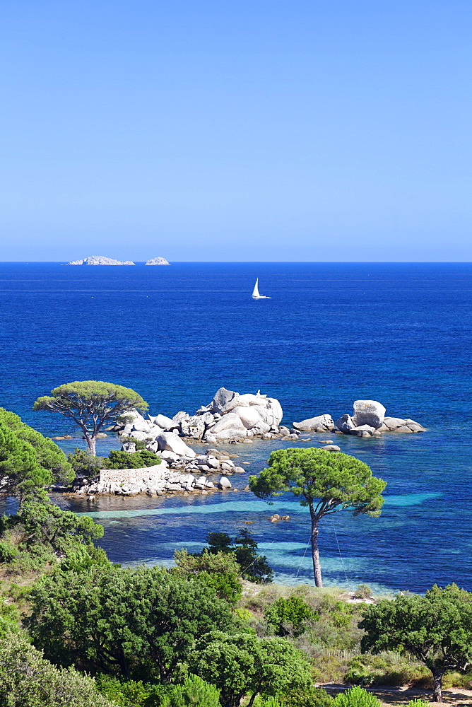 Beach of Palombaggia, Corsica, France, Mediterranean, Europe 