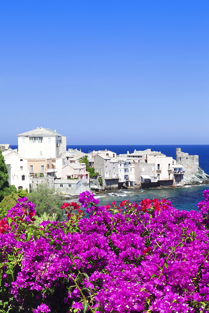 Erbalunga, Corsica, France, Mediterranean, Europe 