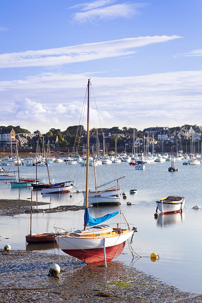 Port of Ploumanach, Cote de Granit Rose, Cotes d'Armor,  Brittany, France, Europe