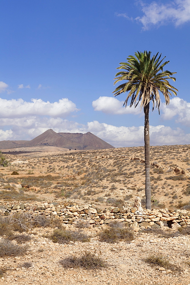 Volcano Caldera de Gairia, Tuineje, Fuerteventura, Canary Islands, Spain, Europe 