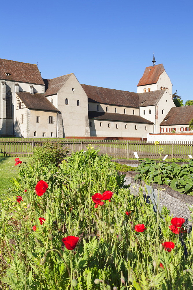 Herb garden, St. Maria und Markus Cathedral, Mittelzell, UNESCO World Heritage Site, Reichenau Island, Lake Constance, Baden-Wurttemberg, Germany, Europe