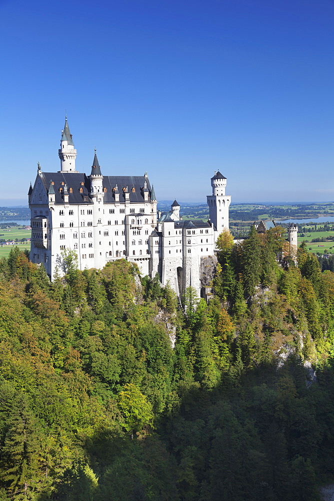 Neuschwanstein Castle, Fussen, Allgau, Allgau Alps, Bavaria, Germany, Europe