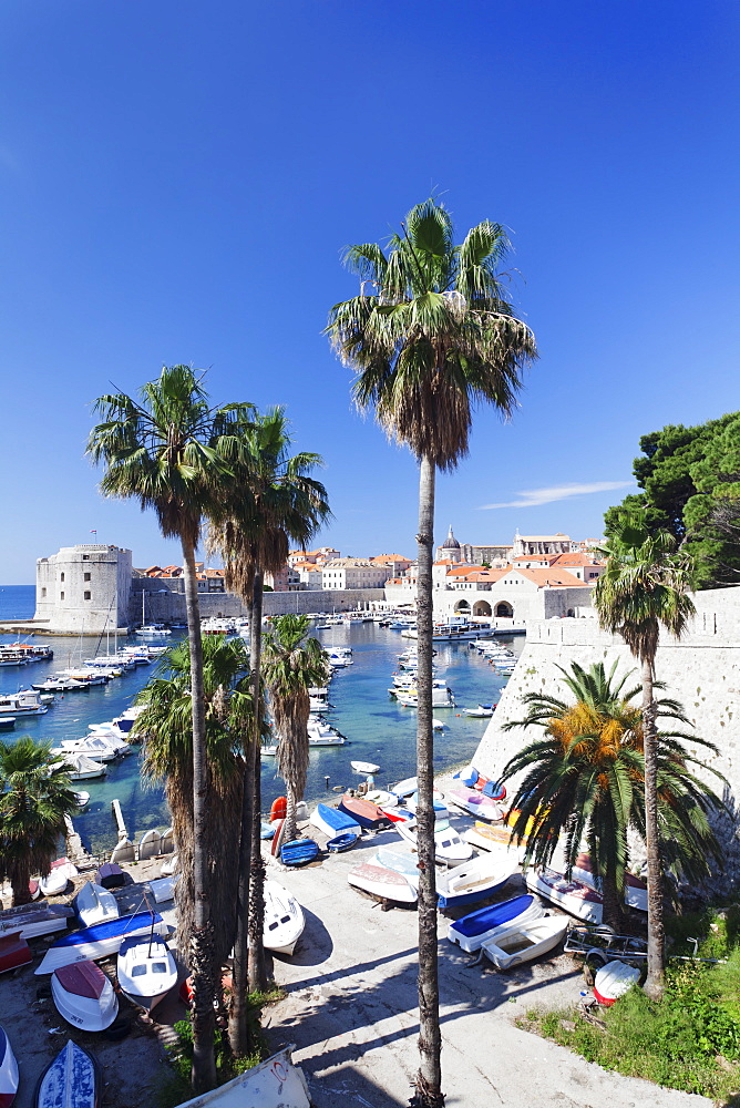 Old harbour and Old Town, UNESCO World Heritage Site, Dubrovnik, Dalmatia, Croatia, Europe