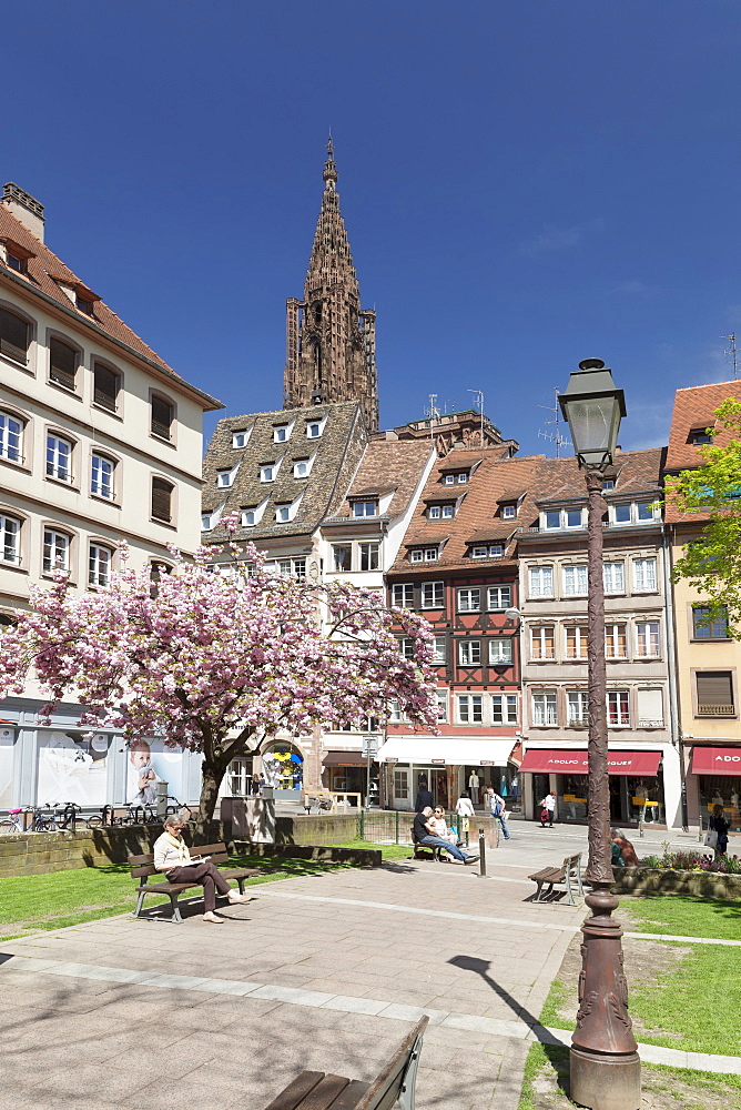 Place des Tripiers and Strasbourg Cathedral Notre Dame, UNESCO World Heritage Site, Strasbourg, Alsace, France, Europe