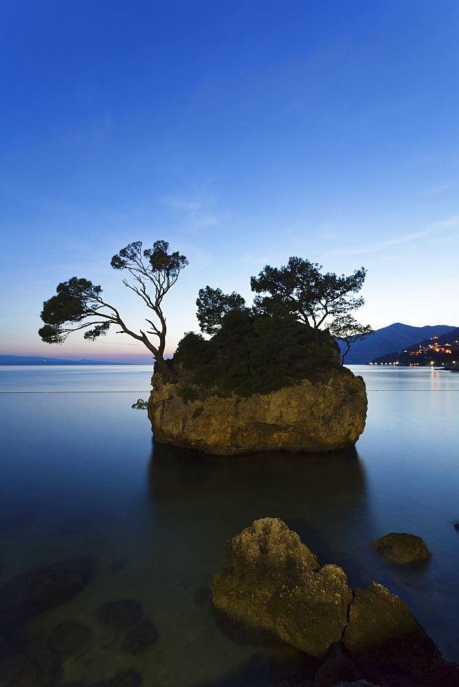 Tree on a rock in the sea, Brela, Makarska Riviera, Dalmatia, Croatia, Europe 