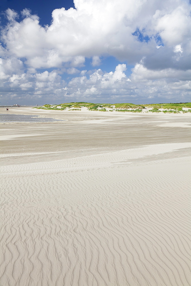 Dunes at a beach, Sankt Peter Ording, Eiderstedt Peninsula, Schleswig Holstein, Germany, Europe