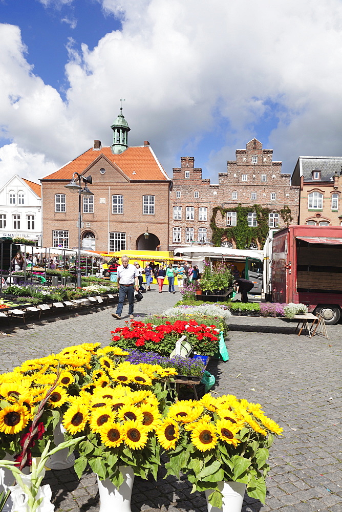 Weekly market at the market place of Husum, Schleswig Holstein, Germany, Europe