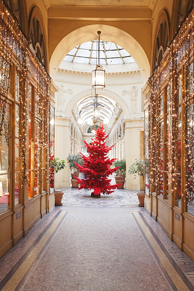 Red Christmas tree at Galerie Colbert, Paris, Ile de France, France, Europe