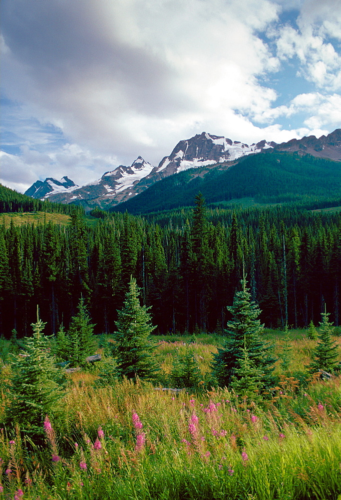 Rocky mountains - Rockies - from Icefields Parkway, Banff National Park, Alberta, Canada