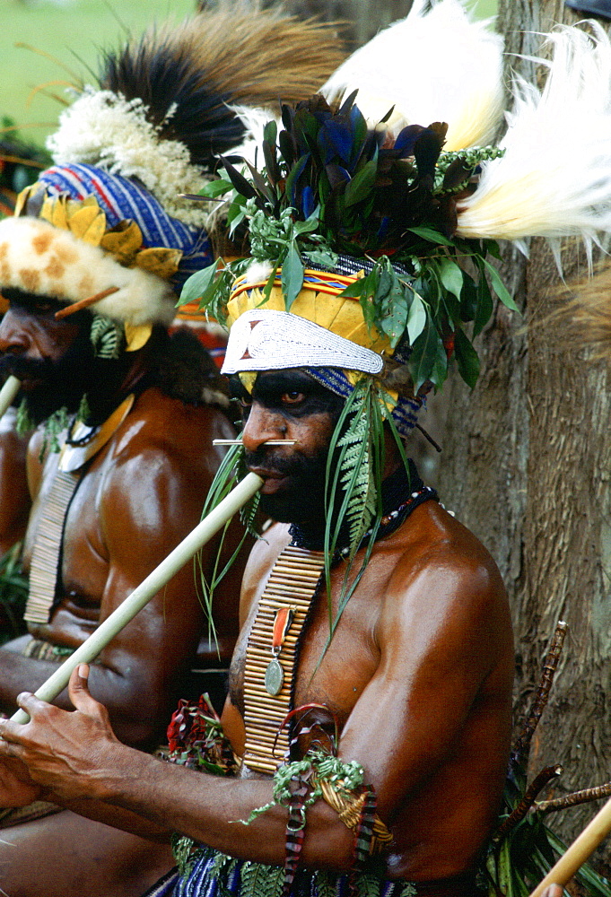 A tribesman wearing a large leaf and feather headdress playing a pipe during a meeting of tribes at Mount Hagen, Papua New Guinea, Australasia.