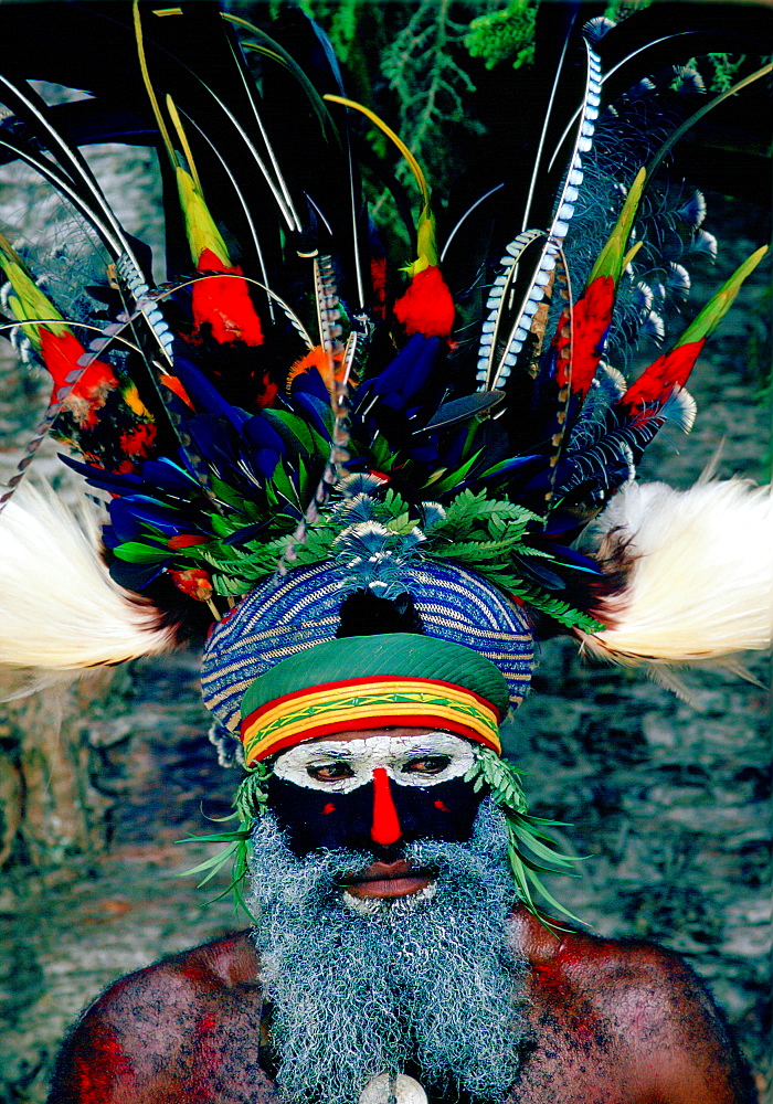 Bearded tribesman wearing war paints and feathered headdress during  a gathering of tribes at Mount Hagen in Papua New Guinea