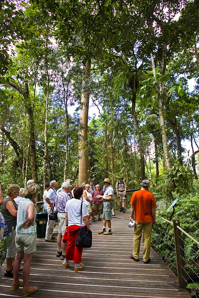 Tourists on boardwalk tour in Barron Gorge National Park, North Queensland, Australia