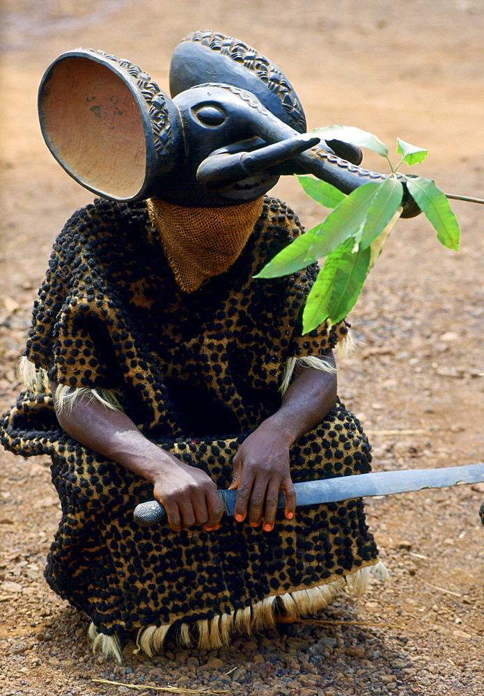 Tribal dancer with elephant headdress, Bamenda, Cameroon, Africa