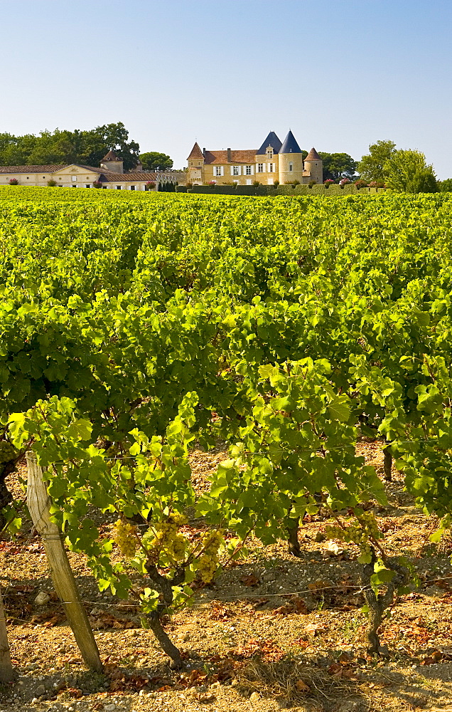 Chateau d'Yquem, Sauternes, France constructed in 15th Century with later additions