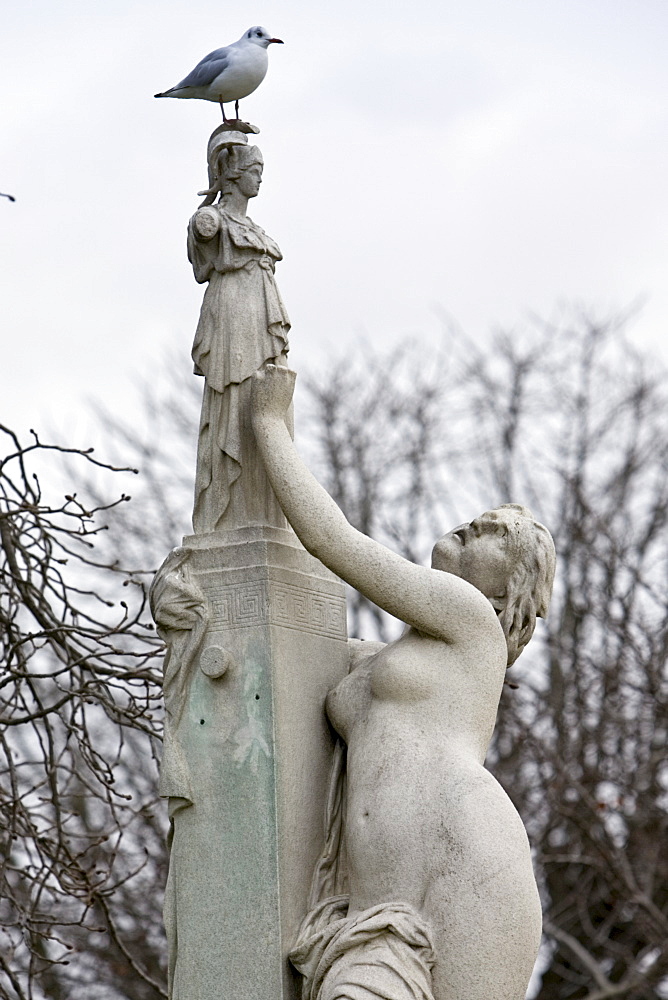 Seagull perches on female sculpture in Jardin des Tuileries, Paris, France