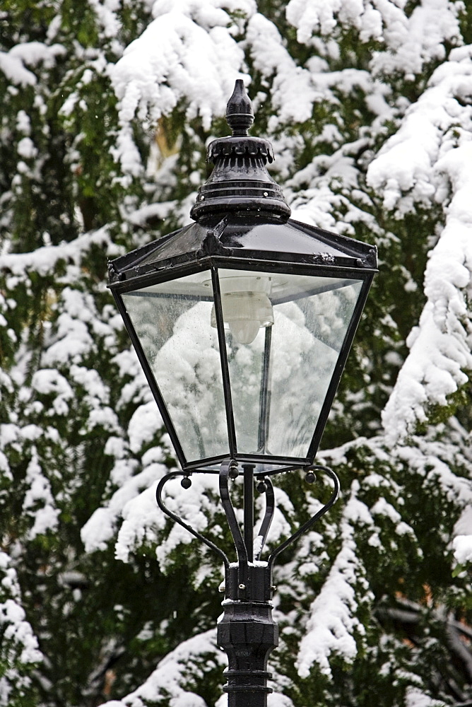 Snow covered street lamp in North London, England, United Kingdom