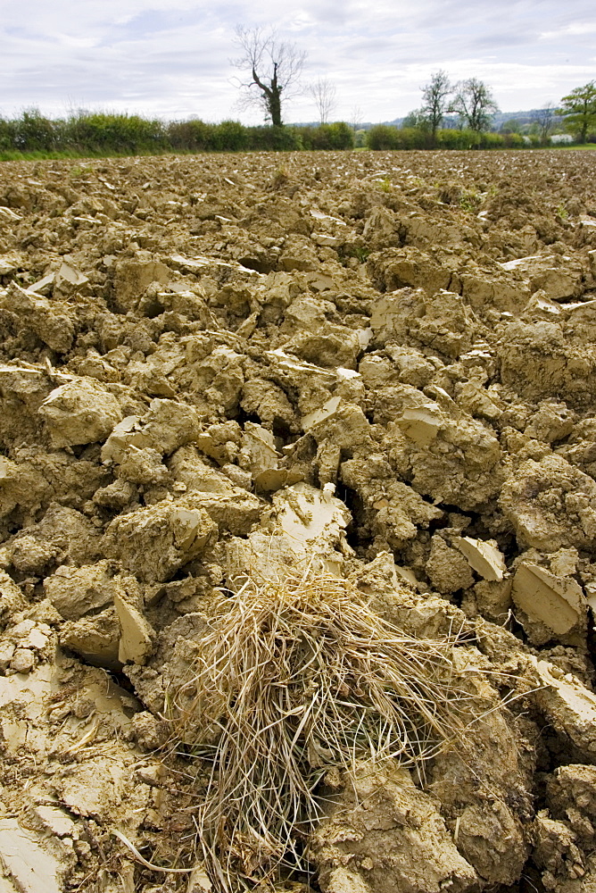 Earth of ploughed field, Wyck Rissington, Gloucestershire, United Kingdom