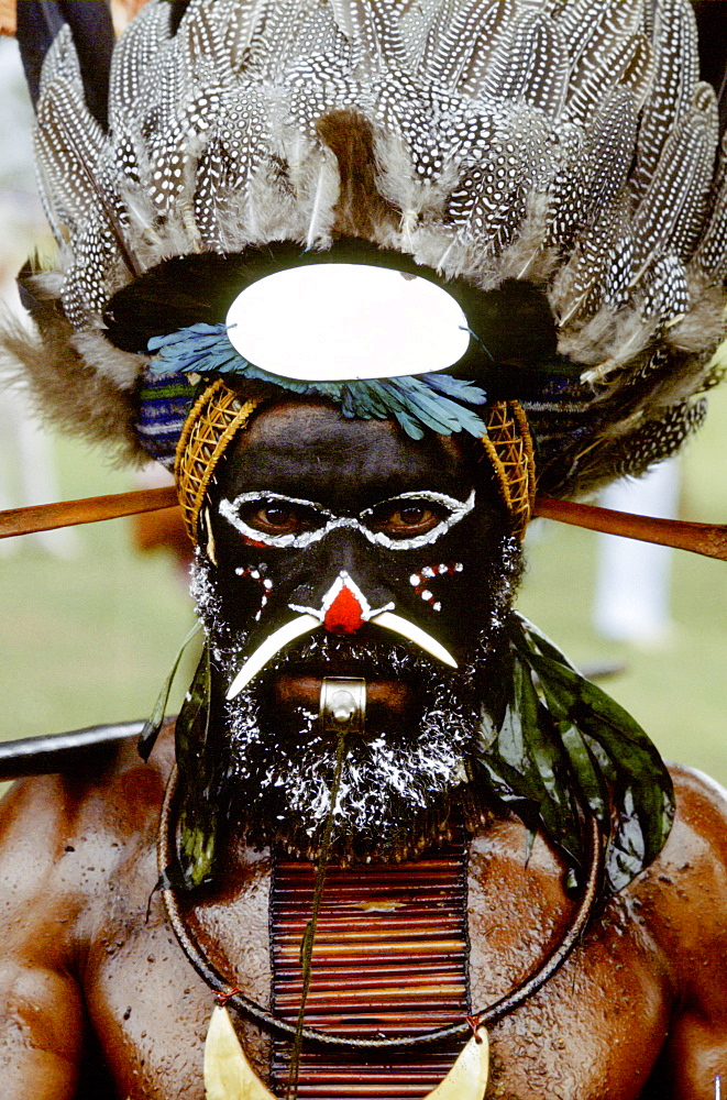 Man at Sing Sing tribal gathering,  Mount Hagen, Papua New Guinea