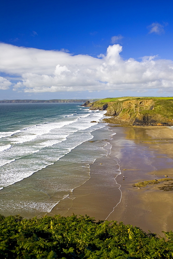 Man and dog on DruidstoneBeach near Broad Haven, Pembrokeshire, Wales, United Kingdom