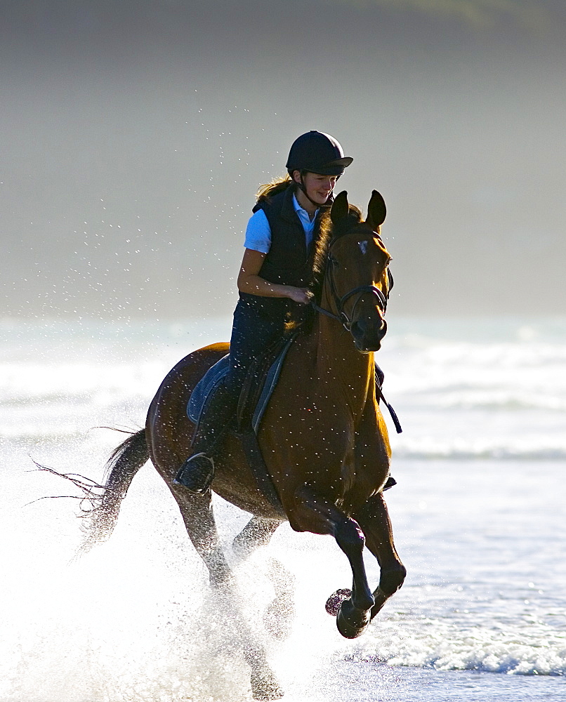 Young woman rides a bay horse on Broad Haven Beach, Pembrokeshire, Wales, United Kingdom