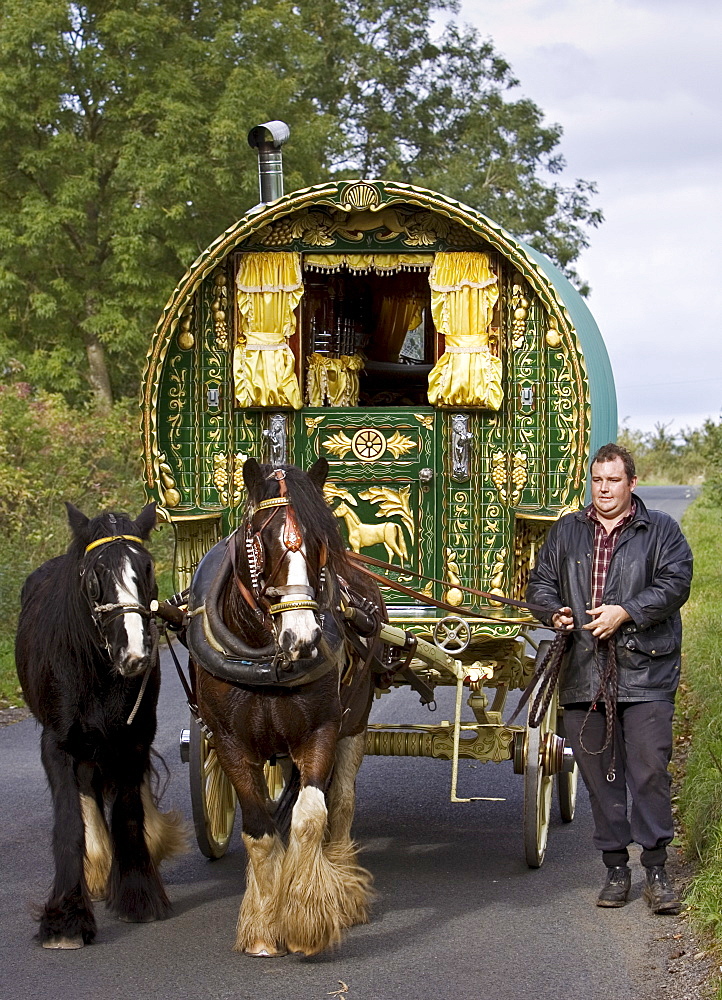 Shire horses pull 100-year-old gypsy caravan through country lanes, Stow-On-The-Wold, Gloucestershire, United Kingdom