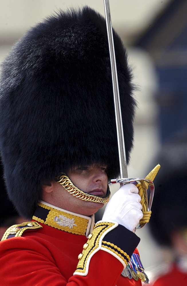 Guardsman at Military Parade, London, United Kingdom.