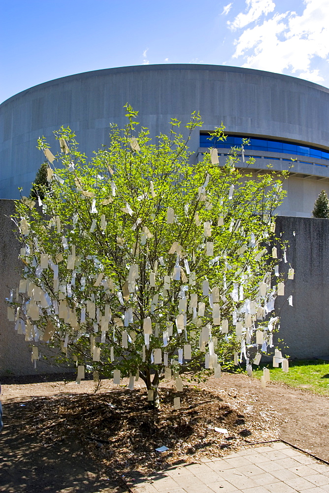 Wish Tree for Washington D.C' by Yoko Ono at The Hirshhorn Museum and Sculpture Garden, USA