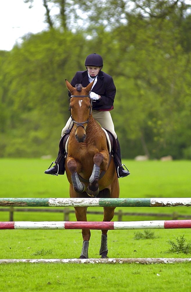 Young male rider competing in showjumping event Cotswolds, Oxfordshire, UK