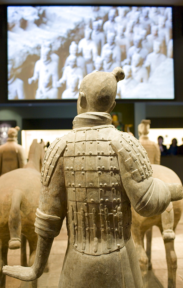 Terracotta warrior on display in the Shaanxi History Museum, Xian, China