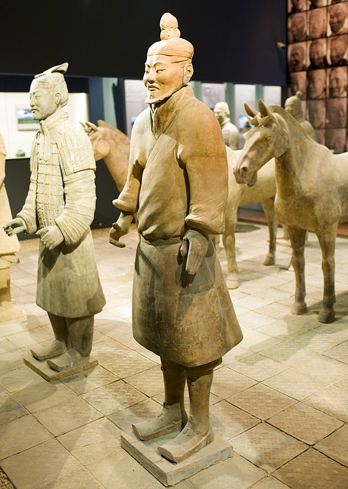 Terracotta warriors & horses on display in the Shaanxi History Museum, Xian, China