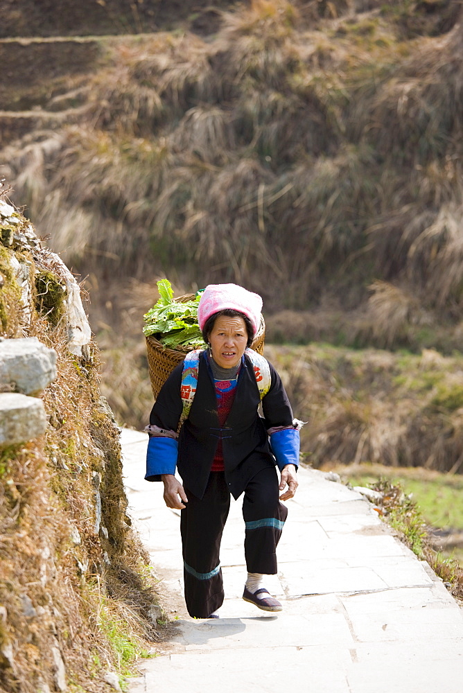 Woman carrying vegetables in pannier basket by mountian village of Ping An, Guilin, China