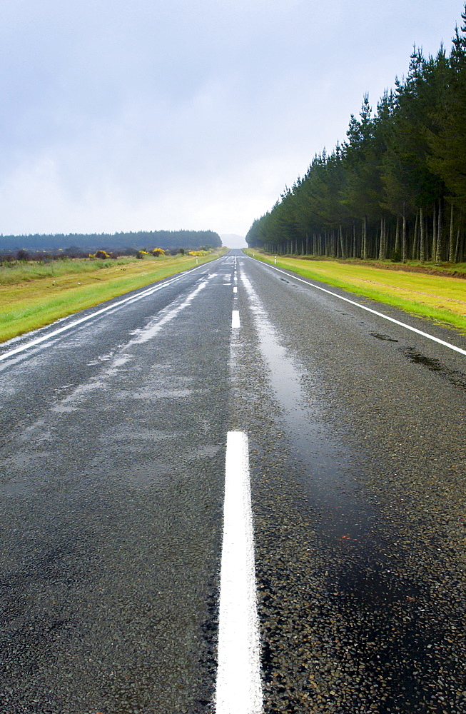 White lines double painted on road , North Island, New Zealand