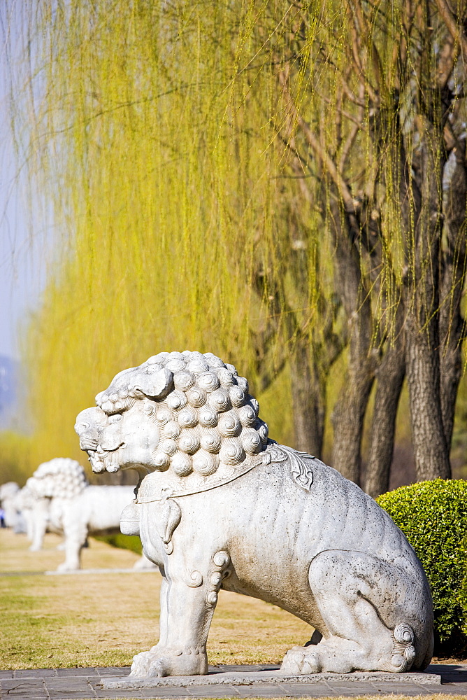 Statue of a resting lion, Spirit Way, Ming Tombs, Beijing (Peking), China