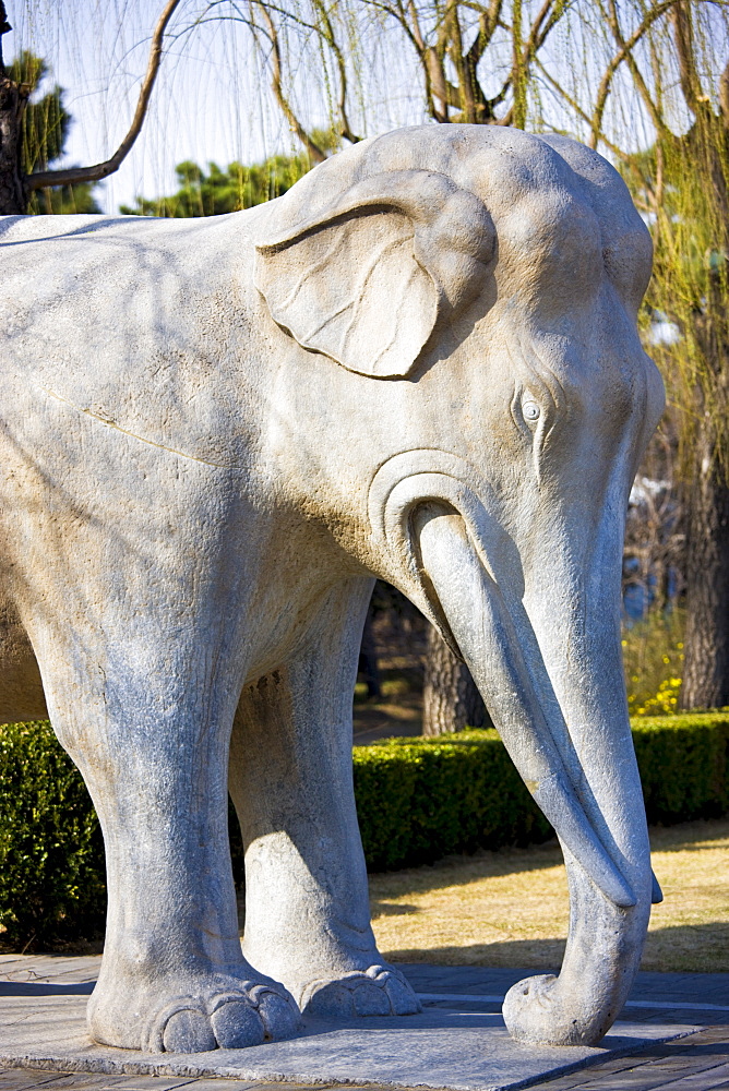 Statue of a standing elephant, Spirit Way, Ming Tombs, Beijing (Peking), China