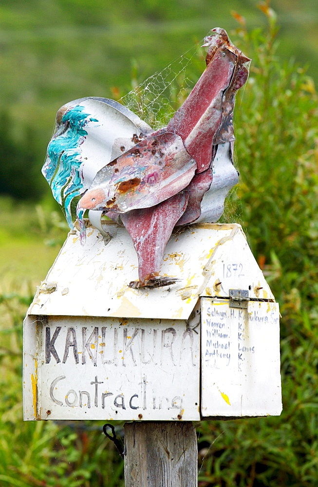 Cockerel mailbox, North Island, New Zealand