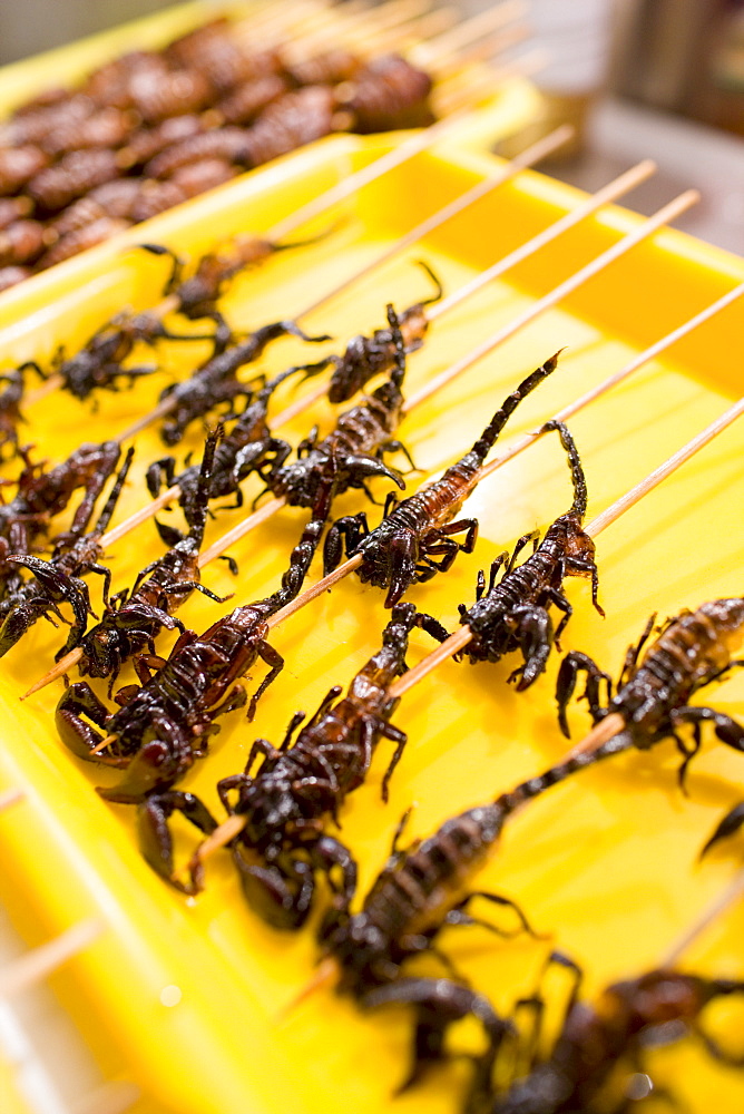 Deep fried scorpions for sale in the Night Market, Wangfujing Street, Beijing, China